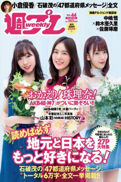 国土安全第2季